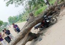 रोहतास: चलती बाइक पर गिरा पेड़, युवक की मौत; दो घायल