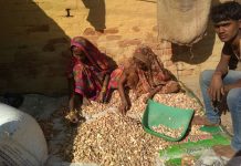 सासाराम में उत्पादित होता है व्रतधारियों का आहार