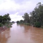 Nokha-Son-Canal