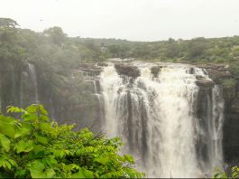 प्रकृति का संगीत सुनना है तो घूम आएं मांझर कुंड