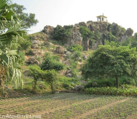 गहड़वाल वंश के शासन का गवाह है रोहतास का सोनहर पहाड़ी