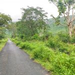 kashish-waterfall-road