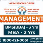 gnsu-bba-mba