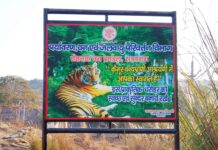 रोहतास व कैमूर में बनेगा बिहार का दूसरा टाइगर रिजर्व, केंद्र सरकार के साथ बनी सहमति