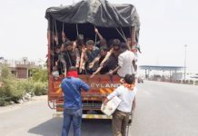 सासाराम हाईवे पर लगातार श्रमिकों को भोजन करा रहा सबल