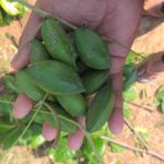 tez-aandhi-barish-rohtas-bihar-lockdown (2)