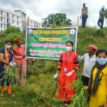 carrot-grass-awareness-rohtas-bihar-narayan-agriculture-college-gnsu-jamuhar