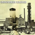 Rohtas-Industries (1)