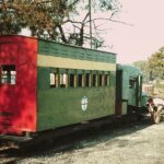 dehri-rohtas-light-railway (4)