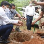 rohtas dm ias dharmendra kumar – dfo ifs pradyumn gaurav (3)