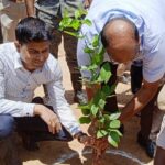 rohtas news Forest festival celebrated in Nagar Forest Shaheed Sanjay Singh Park plantation took place (1)
