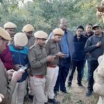 first time ecological app will be used to count wildlife in Rohtas and Kaimur forest (2)